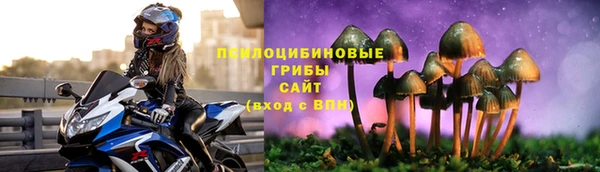 а пвп мука Елизово