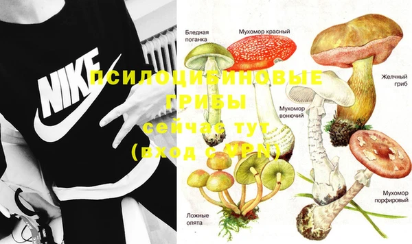 метамфетамин Ельня