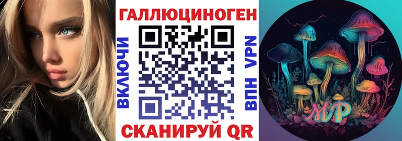 Галлюциногенные грибы Psilocybe  Купить закладки  Цивильск 